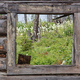 Illustration for article titled American Horror Story: Beautiful Photos of U.S. Ghost Towns